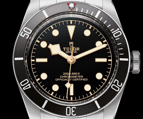 tudor black bay divers watch